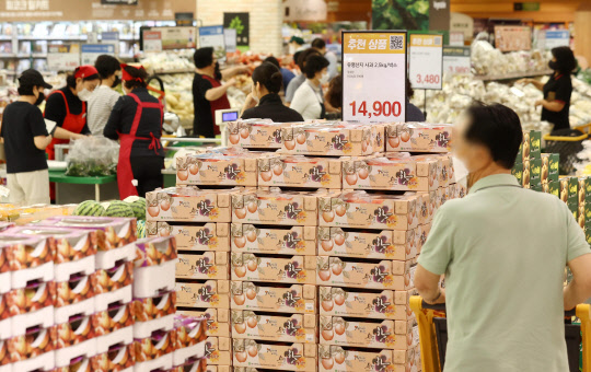 지난 7일 서울의 한 대형마트에서 장을 보는 시민의 모습. <연합뉴스>